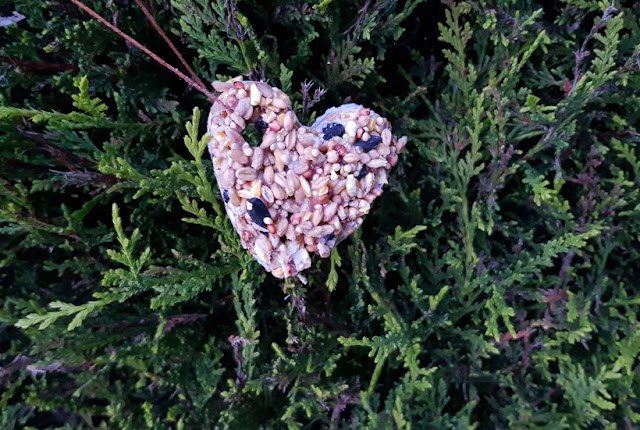 How I made heart shaped bird feeders for Valentine's Day
