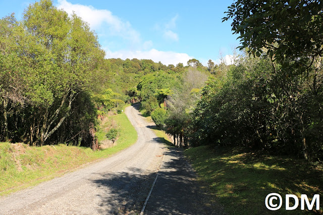 Photo de la route de la vallée de Waimangu Rotorua Nouvelle-Zélande