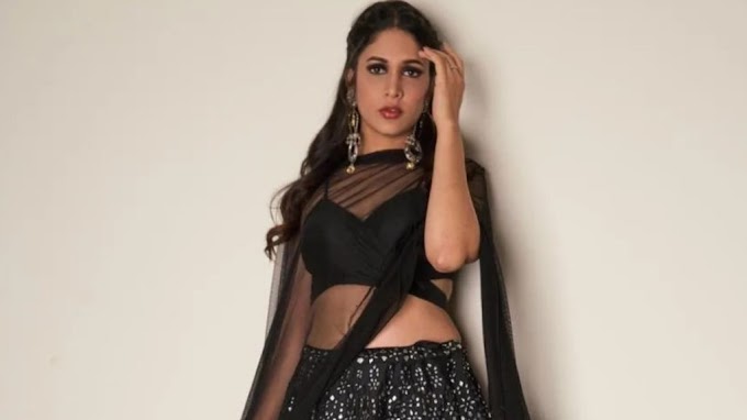 Lavanya Tripathi nickname: लावण्या त्रिपाठी: चुन चून' से 'मिसेज तेज' तक, लावण्या के जीवन का सफर