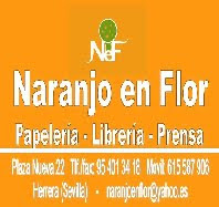 Naranjo en flor