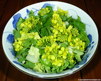 Moutarde et oseille en salade