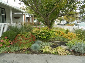 Toronto Fall Cleanup Birch Cliff before by Paul Jung Gardening Services