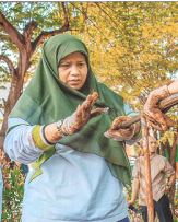 Cara Ampuh Atasi Banjir di Tempat Anda