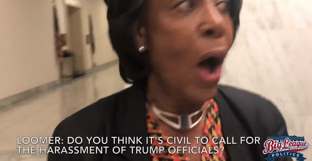 Conservative Investigative Reporter Confronts Maxine Waters 