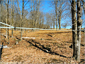 Maple Sugar Season en Massachusetts: Gould´s Sugar-House