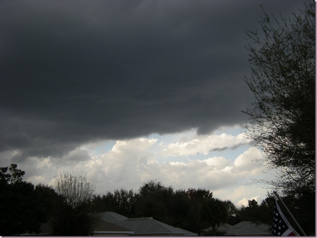 DSCN0462