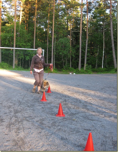 2010 - 06 048
