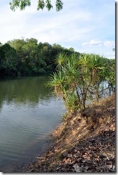 bucket billabong1
