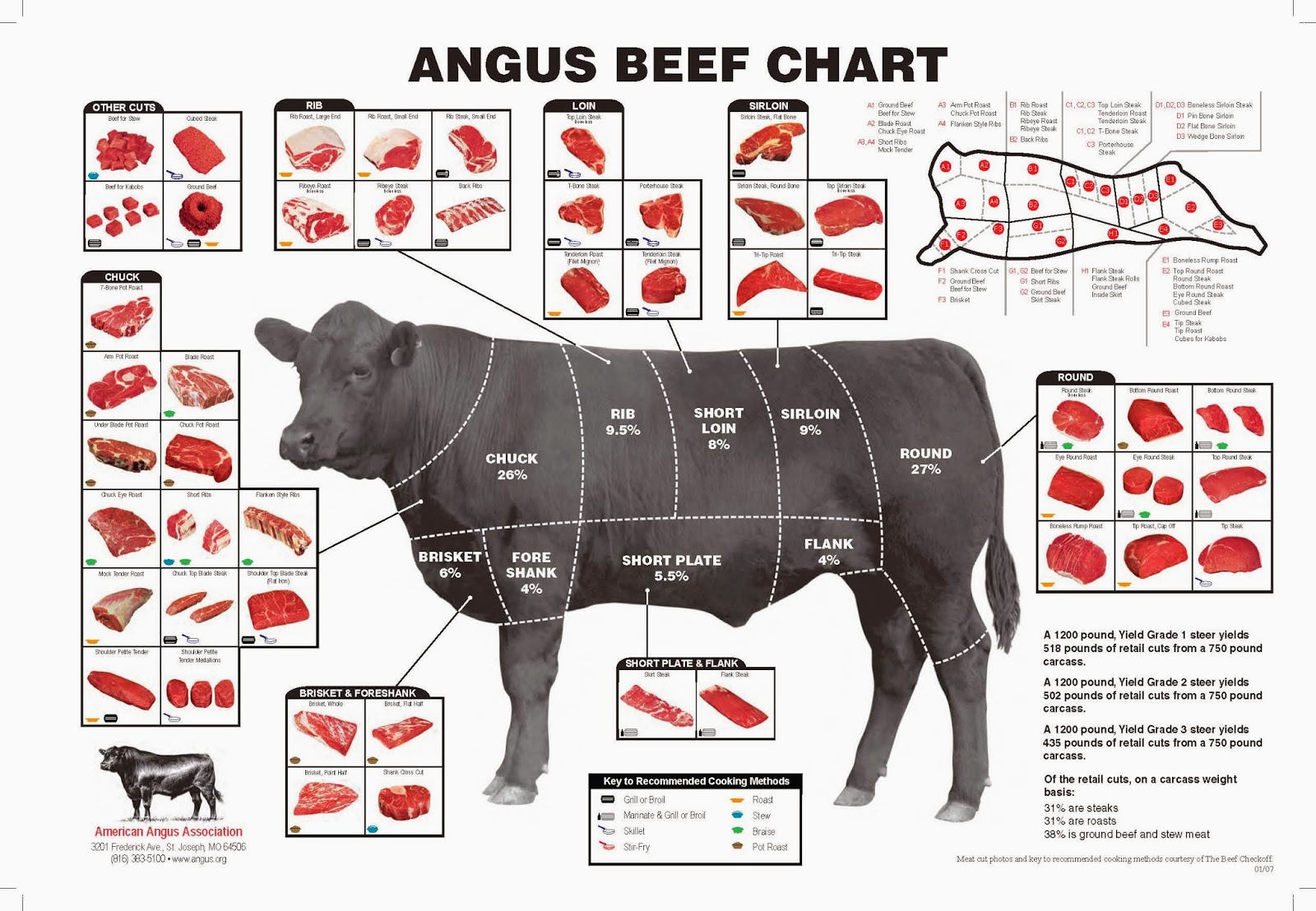 The American Cowboy Chronicles: Cattle Diagrams  Retail Beef Cuts Chart