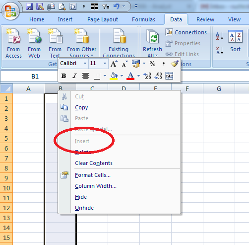 MS Excel, right click insert option not functioning