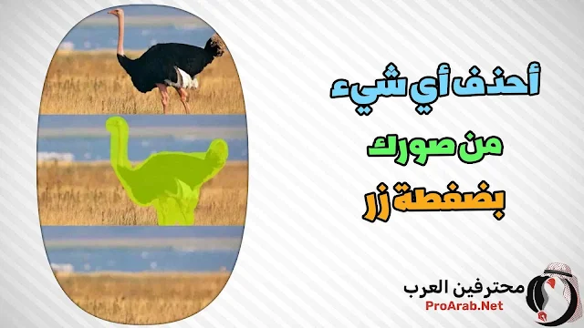 ازالة شخص من الصورة