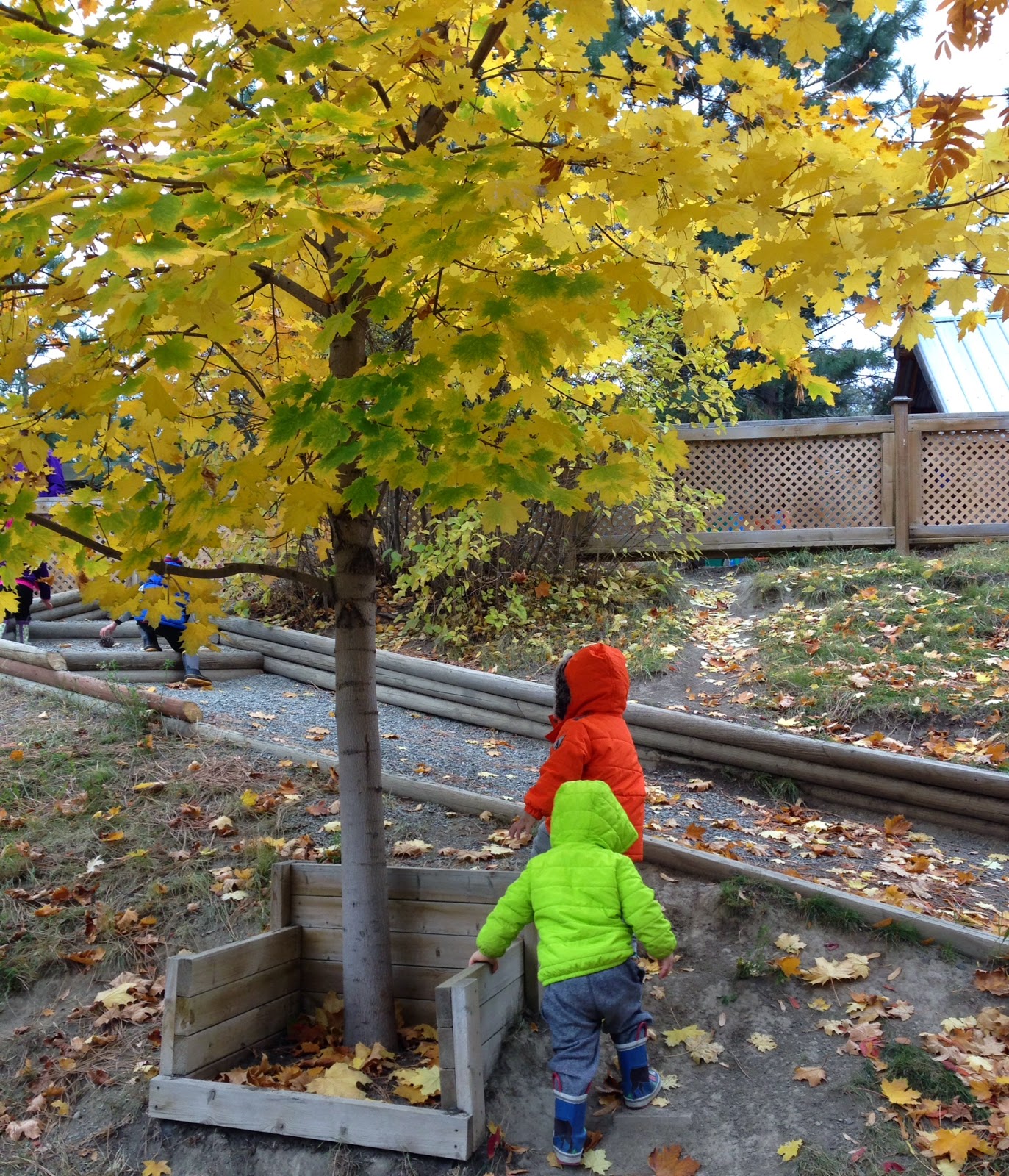 Nature Play and Learning.