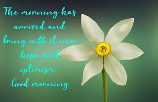 Beautiful good morning wishes