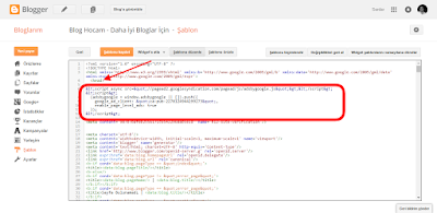 blogger sayfa düzeyi reklamlar