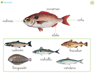 http://primerodecarlos.com/primerodecarlos.blogspot.com/febrero/caract_peces.swf