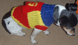 How to Knit a Super Dog Sweater