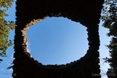 IMG_6785