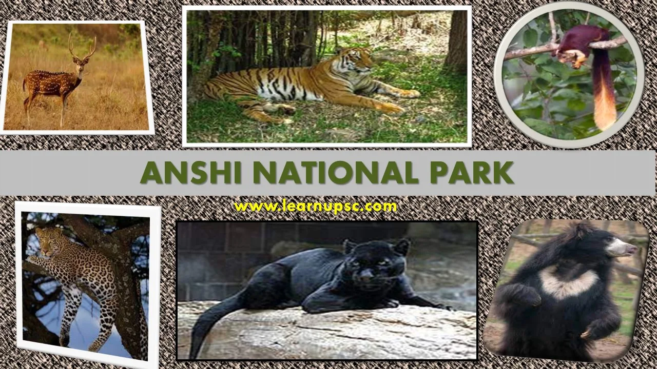 Anshi National Park