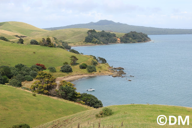 Photo de vue sur les chemins de Motutapu Auckland Nouvelle-Zélande 