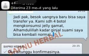 Obat Ginjal Bengkak