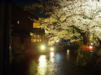 ライトアップされる祇園白川の夜桜 - バイクツーリングブログ