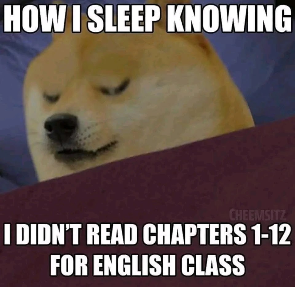 Doge memes in english