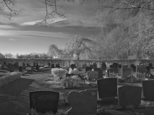 Begraafplaats Babberichseweg, Zevenaar. Infraroodfoto: Robert van der Kroft, 24-02-2018