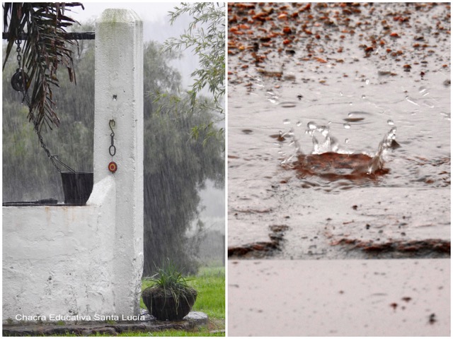 Lluvia intensa / Gotas de lluvia en un charco - Chacra Educativa Santa Lucía