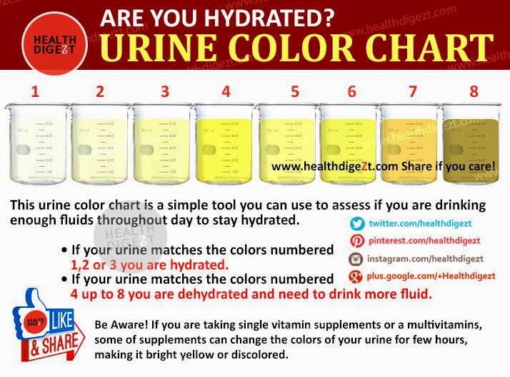 Dan Taleb Urine Colour Chart