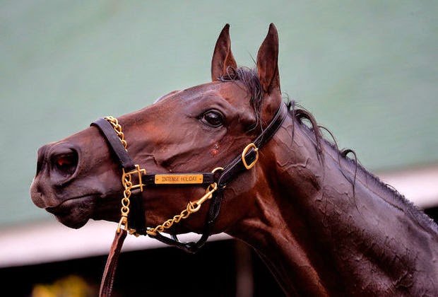 http://www.nj.com/horse-racing/index.ssf/2014/05/kentucky_derby_2014_an_in-depth_look_at_all_20_contenders.html