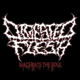 DIGESTED FLESH - Macerate The Soul (Ep 2010)