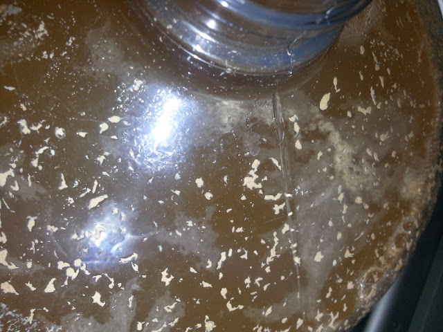 Spontaneous Fermentation Project Part 5 -- week 2 of fermentation