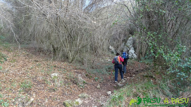 Subiendo por el bosque a Peña Careses