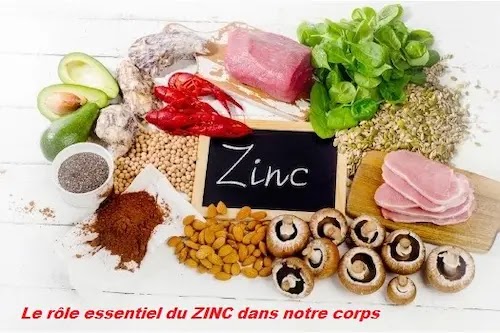 Le rôle essentiel du ZINC dans notre corps