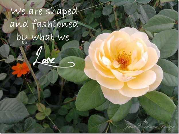 Shaped_Fashion_Quote
