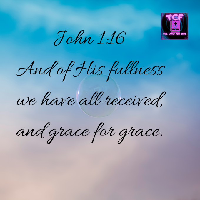 DAILY DEVOTIONAL: YOU HAVE HIS FULLNESS