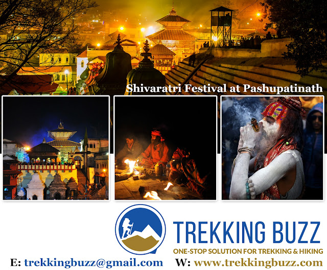 Pashupatinath Shivaratri Festival