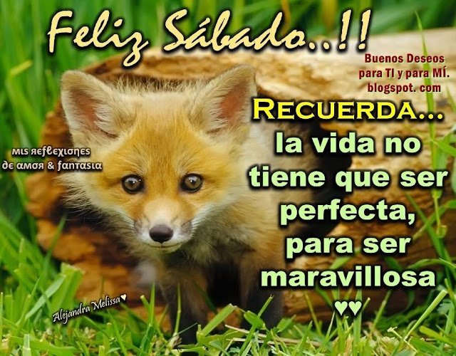 FELIZ SÁBADO !!  RECUERDA: La vida no tiene que ser perfecta, para ser maravillosa...