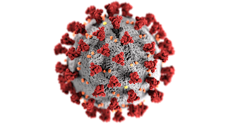 This illustration, created at the Centers for Disease Control and Prevention (CDC), reveals ultrastructural morphology exhibited by coronaviruses. Note the spikes that adorn the outer surface of the virus, which imparts the look of a corona surrounding the virion, when viewed electron microscopically. A novel coronavirus, named Severe Acute Respiratory Syndrome coronavirus 2 (SARS-CoV-2), was identified as the cause of an outbreak of respiratory illness first detected in Wuhan, China in 2019. The illness caused by this virus has been named coronavirus disease 2019 (COVID-19).