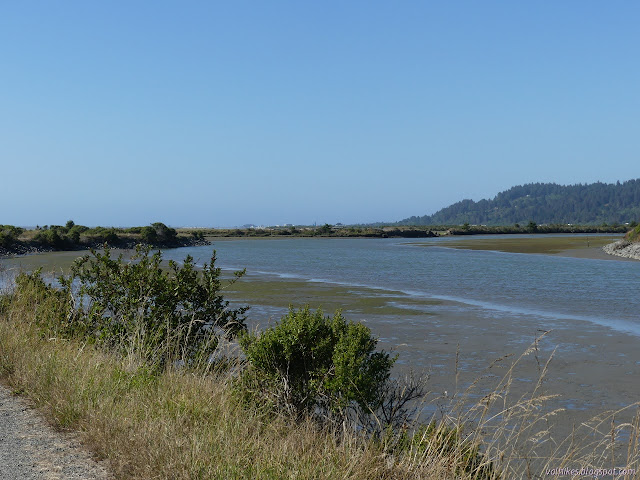 exposed mud extending from the levee rocks into the slough