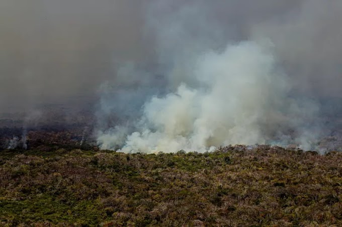 'Brasil tem responsabilidade de liderar soluções para o meio ambiente' afirma Governo americano