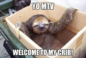 30 Funny animal captions - part 18 (30 pics), sloth meme, yo mtv welcome to my crib