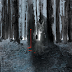 Lançamento: Wytches de Scott Snyder