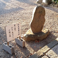 人文研究見聞録：信太森葛葉稲荷神社（葛葉稲荷） ［大阪府］