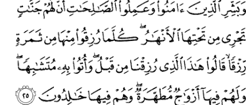 Alquran Daily - surah : Al-Baqarah ,    سورة البقرة   , ayat :  25 (2) -  25 (2)