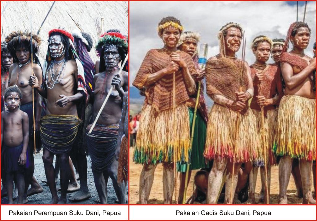 Pakaian Adat Papua Lengkap Gambar  dan Penjelasanya Seni 