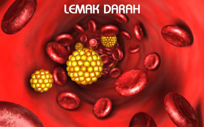 lemak darah - dokpedia