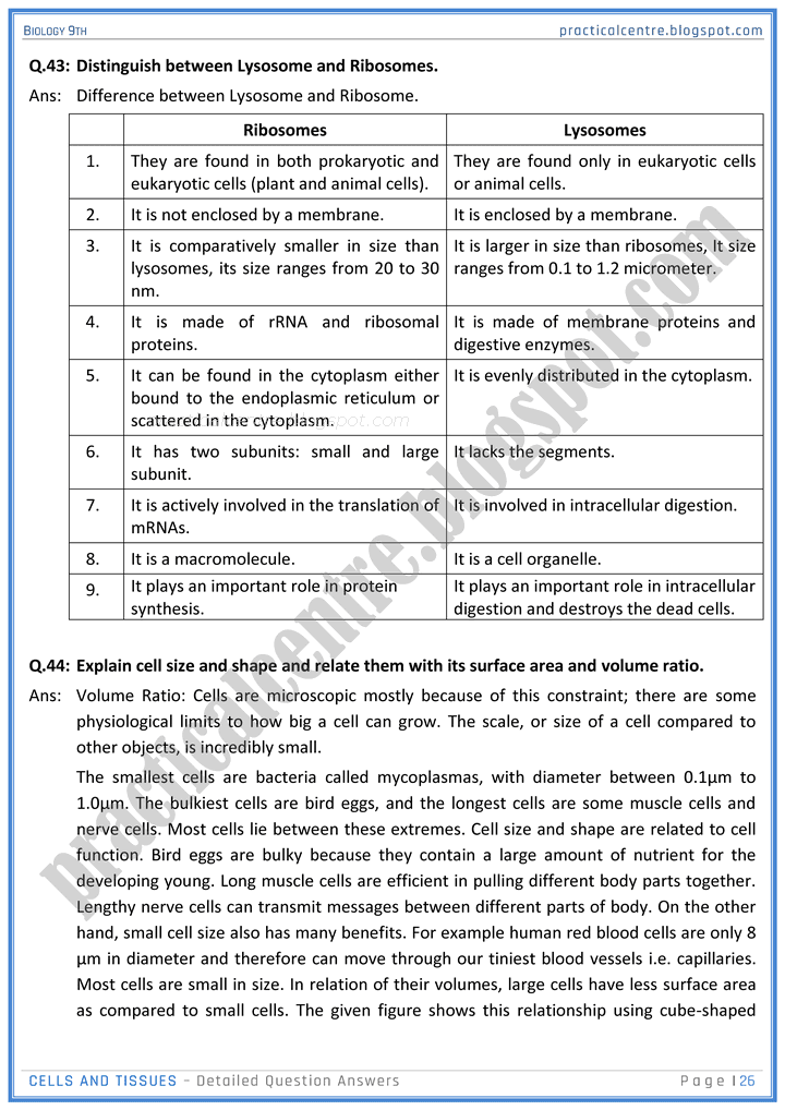 cells-and-tissues-detailed-question-answers-biology-9th-notes