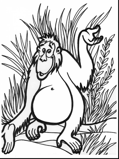 Spectacular Realistic Jungle Animal Coloring Pages With Jungle Animal  Coloring Pages And Baby Jungle Animal Coloring