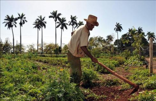 Feliz Día Agricultor! (15 de mayo día del agricultor)